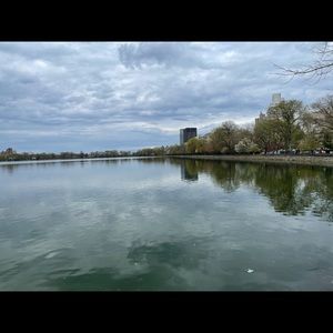 Meet your Posher, Diana